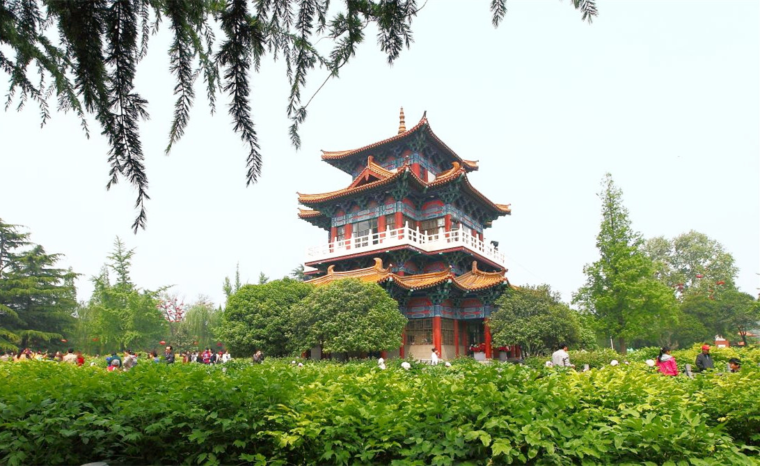 &#39532;&#21338;&#26368;&#26032;&#23448;&#26041;&#45;&#39532;&#21338;&#65288;&#20013;&#22269;&#65289;