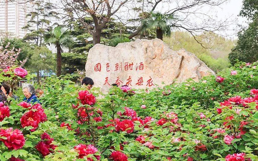 &#39532;&#21338;&#26368;&#26032;&#23448;&#26041;&#45;&#39532;&#21338;&#65288;&#20013;&#22269;&#65289;